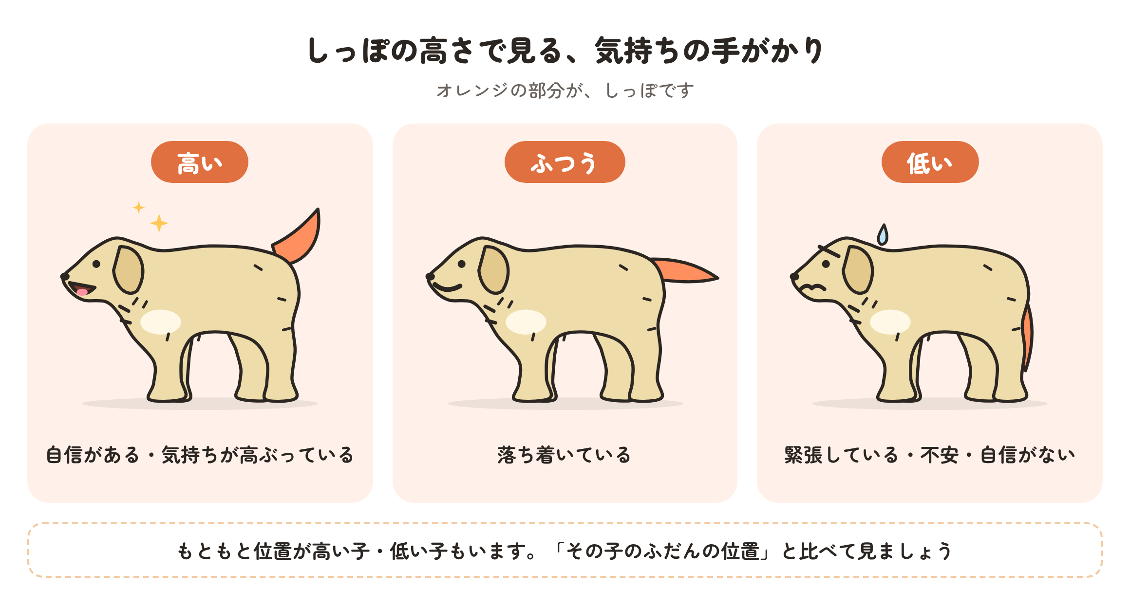 しっぽの高さの3パターンの図。高い位置は自信がある・気持ちが高ぶっている、ふつうの位置は落ち着いている、低い位置は緊張・不安・自信がないことが多い、という目安を示している