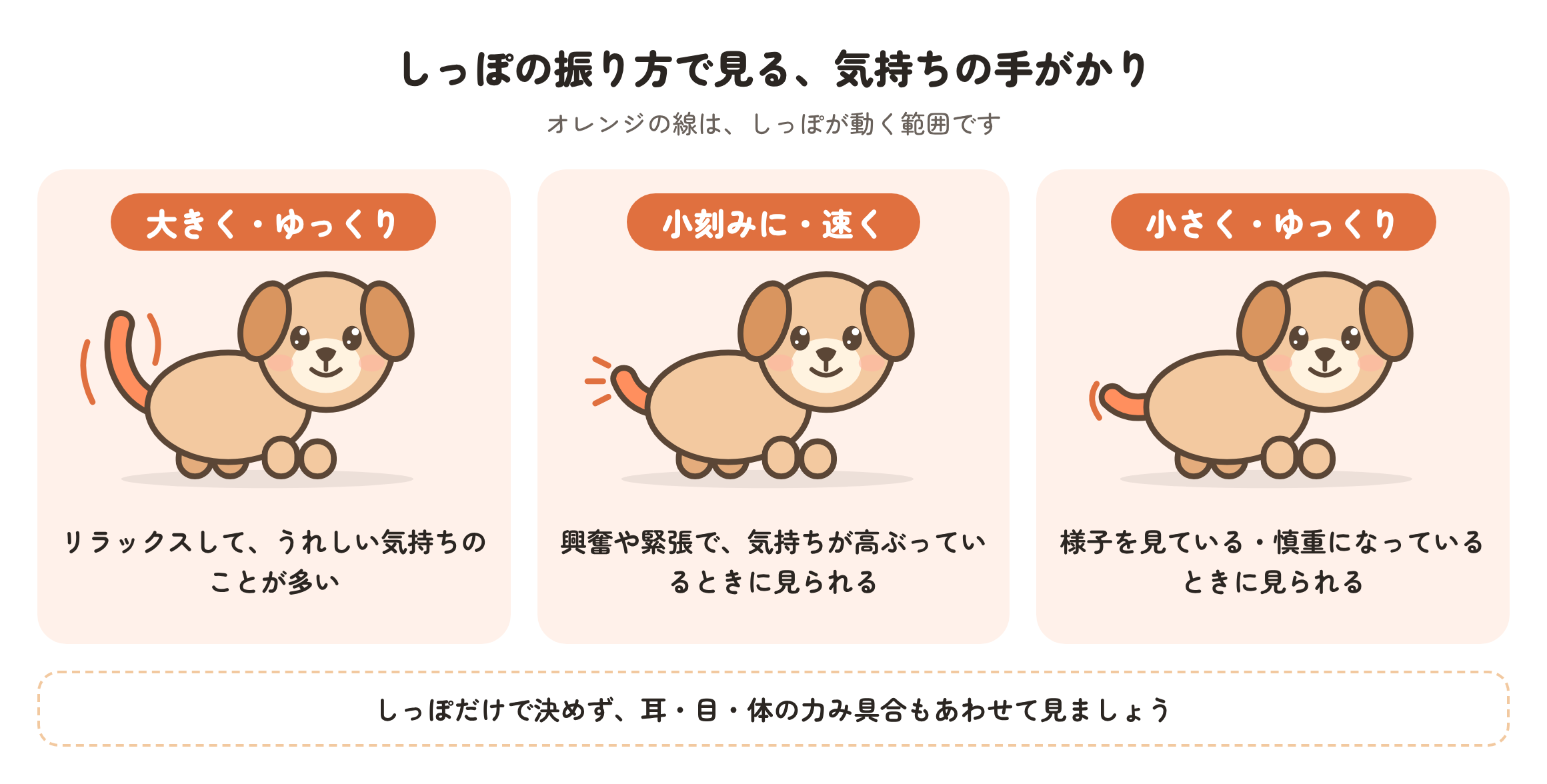 しっぽの振り方の3パターンの図。大きくゆっくり振るのはリラックスしてうれしい気持ち、小刻みに速く振るのは興奮や緊張で気持ちが高ぶっているとき、小さくゆっくり振るのは様子を見ている・慎重になっているときに見られる、という目安を示している